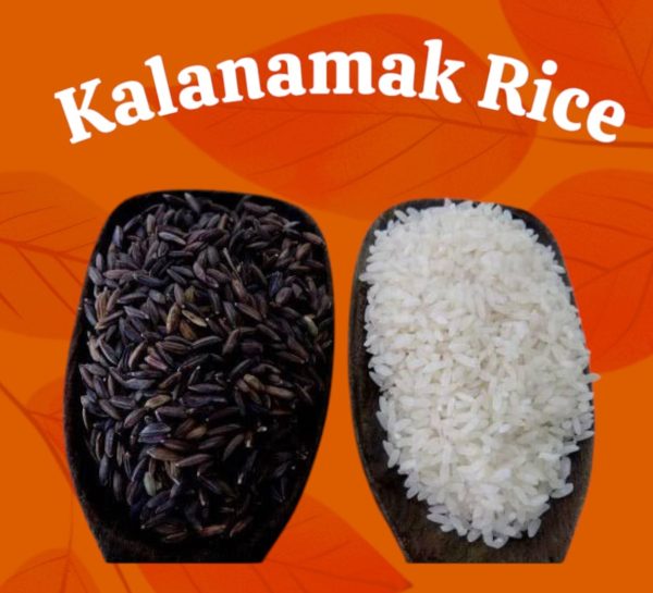 Kalanamak Rice (Buddha Rice) | SiddharthNagar - Image 3