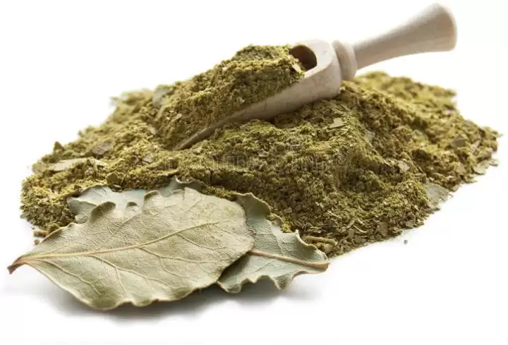 Herbanuts Tej Patta (Bay Leaves) 100g - Image 2