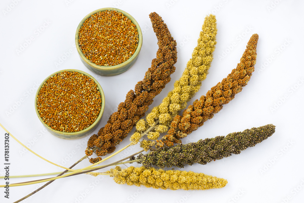 Bajra Atta (Pearl Millet Flour) - Image 4