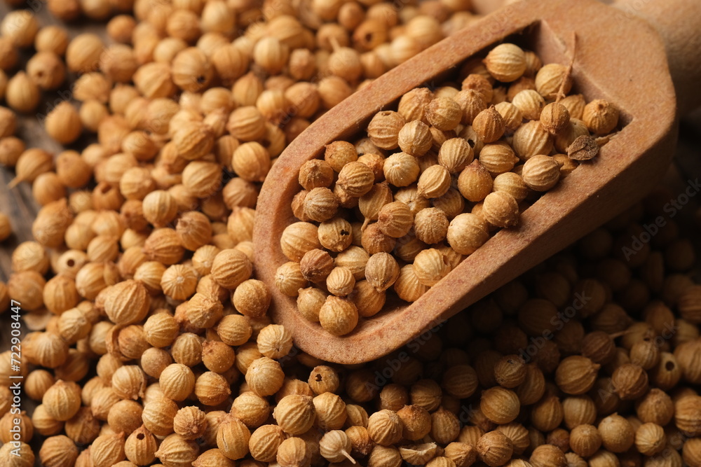 Dhania (Coriander Powder) 100g - Image 4