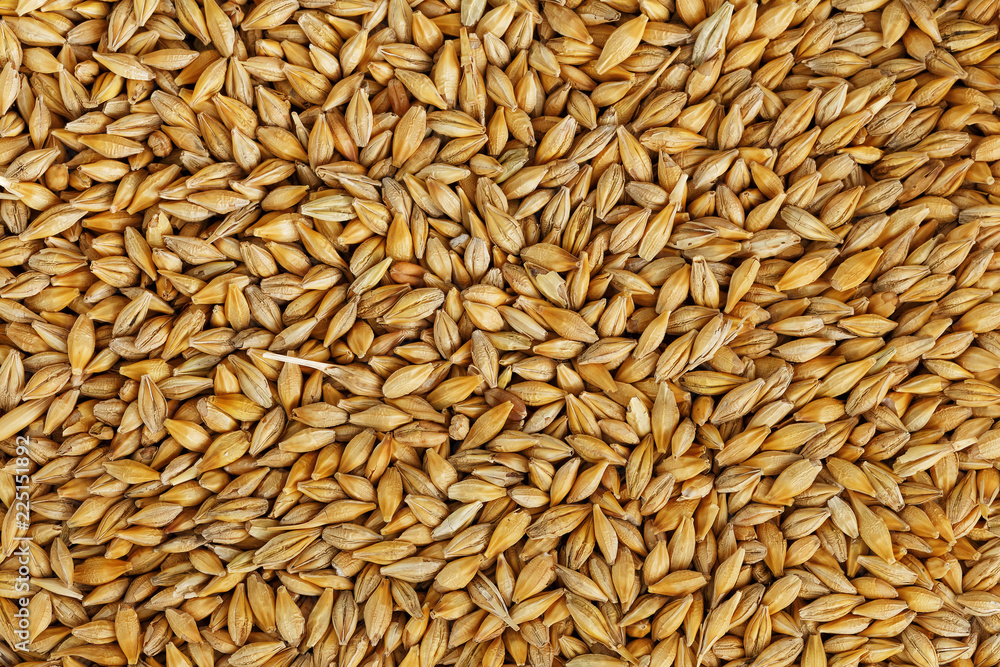 Jau Atta(Barley Flour) - Image 2