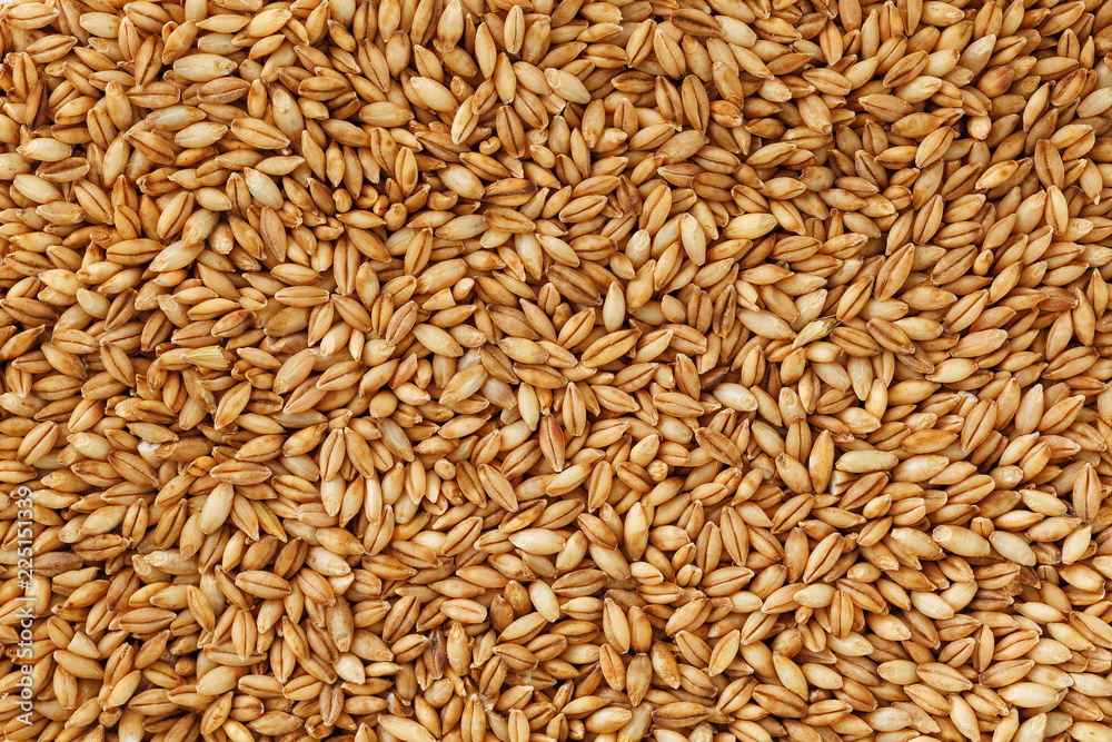 Jau Atta(Barley Flour) - Image 3